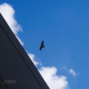 翔田千里代理出产最厉害
